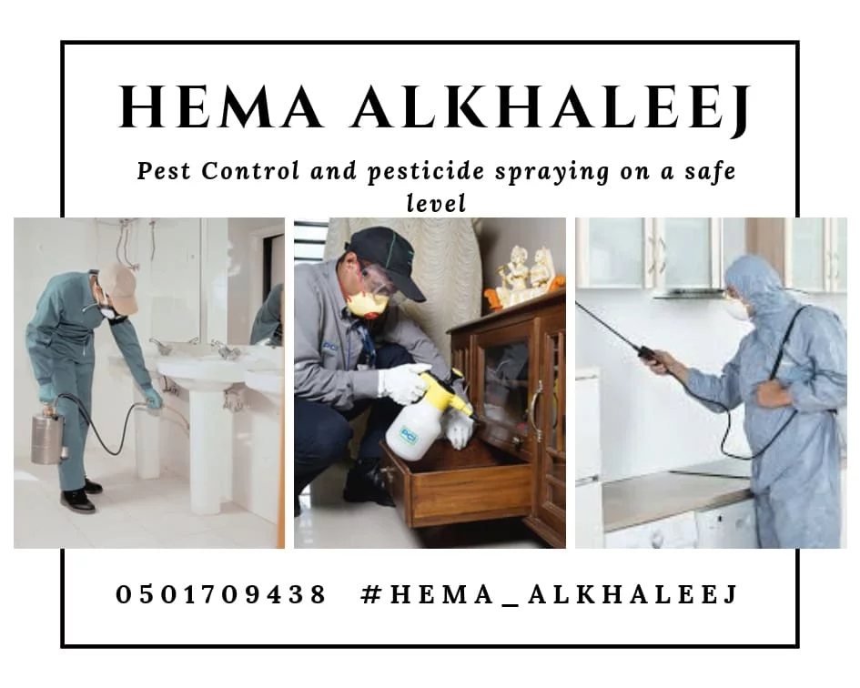 أدوات رش مبيدات ,يقوم بها شخص متخصص-طرق تواصل مع شركة رش مبيدات بالرياض الأفضل بينهم 