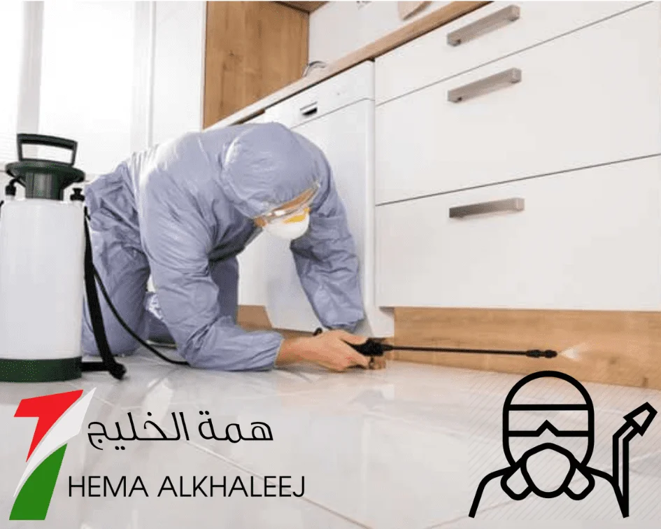 مكافحة حشرات بالرياض