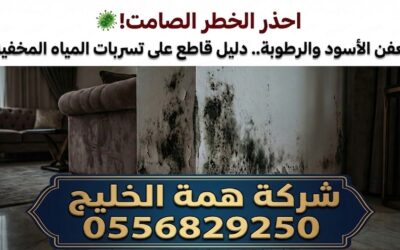 العفن الأسود ورائحة الكتمة بالمنزل: الخطر الصامت لتسربات المياه تحت البلاط